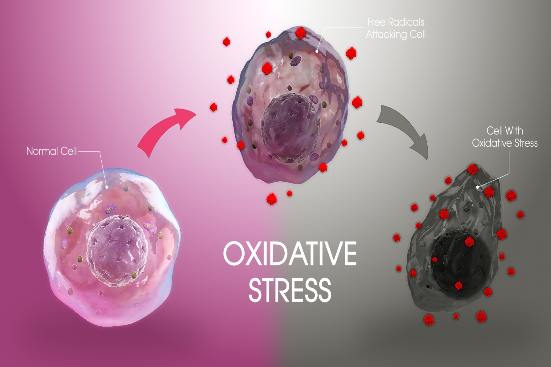Οξειδωτικό στρες Covid: Οι ασθενείς με κορωνοϊό παρουσιάζουν αυξημένα επίπεδα οξειδωτικού στρες