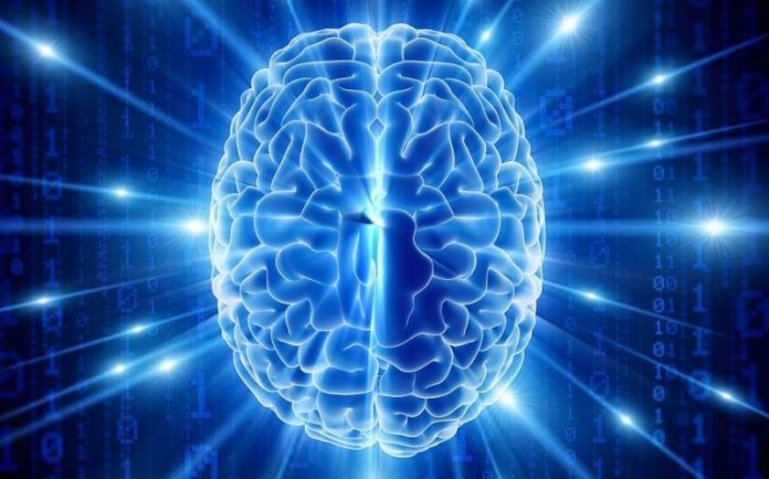 Εγκέφαλος: Νέα μελέτη ανακαλύπτει πως τα σημαντικότερα εγκεφαλικά κύτταρα «επικοινωνούν»