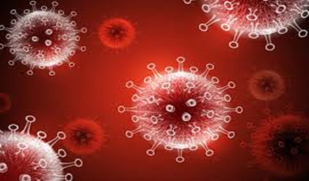 Έρευνα Πανδημία: Πρώτη δοκιμαστική πρόκληση COVID-19 στον κόσμο για αξιολόγηση της ανοσολογικής απόκρισης των συμμετεχόντων