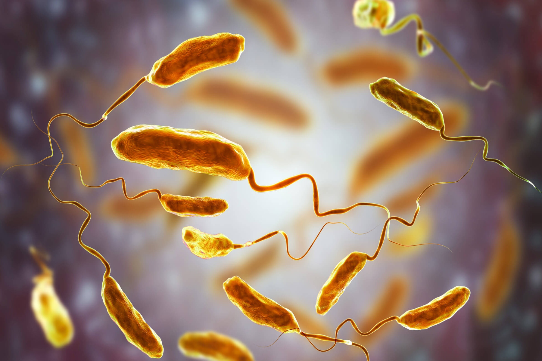Βακτήρια δονακίωση Βρετανία: Νέα βακτήρια βρέθηκαν στο νερό του Ηνωμένου Βασιλείου