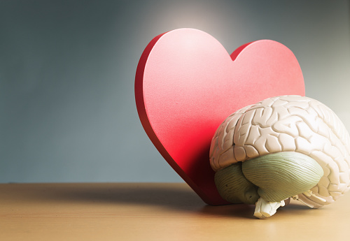 Αμερικανική Καρδιολογική Εταιρεία: Η υγεία της καρδιάς και του εγκεφάλου είναι άρρηκτα συνδεδεμένες