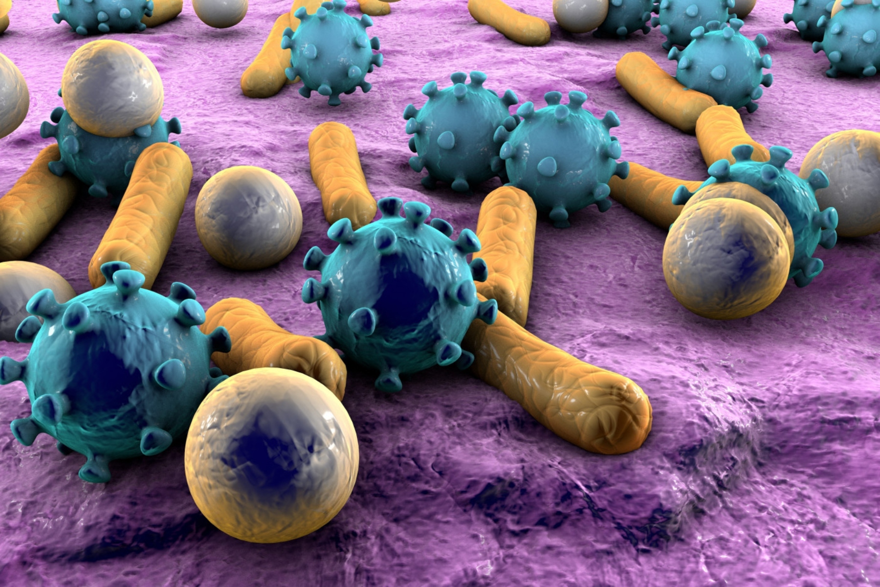 Εντερικό μικροβίωμα: Το εντερικό «virome» μπορεί να ευθύνεται για Φλεγμονώδεις νόσους του εντέρου