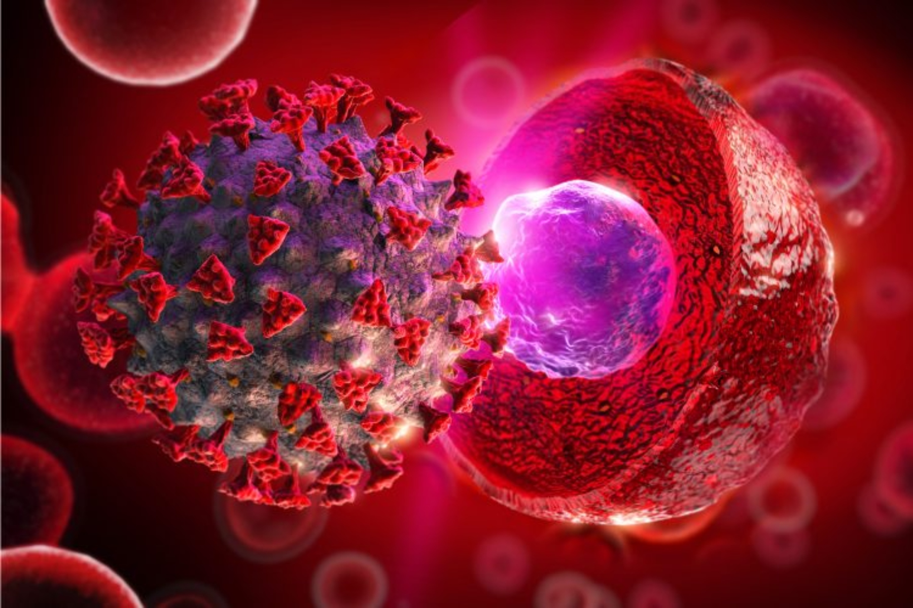 Βλαστοκύτταρα Covid: Ποια η σχέση των βλαστοκυττάρων με τη θεραπεία του κορωνοϊού;