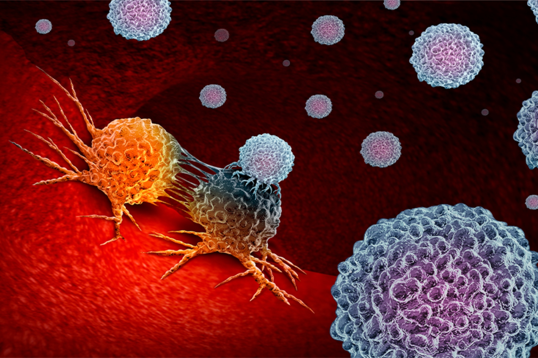 Καρκίνος ανοσοποιητικό σύστημα: Πώς αντεπιτίθεται το σώμα στον καρκίνο;