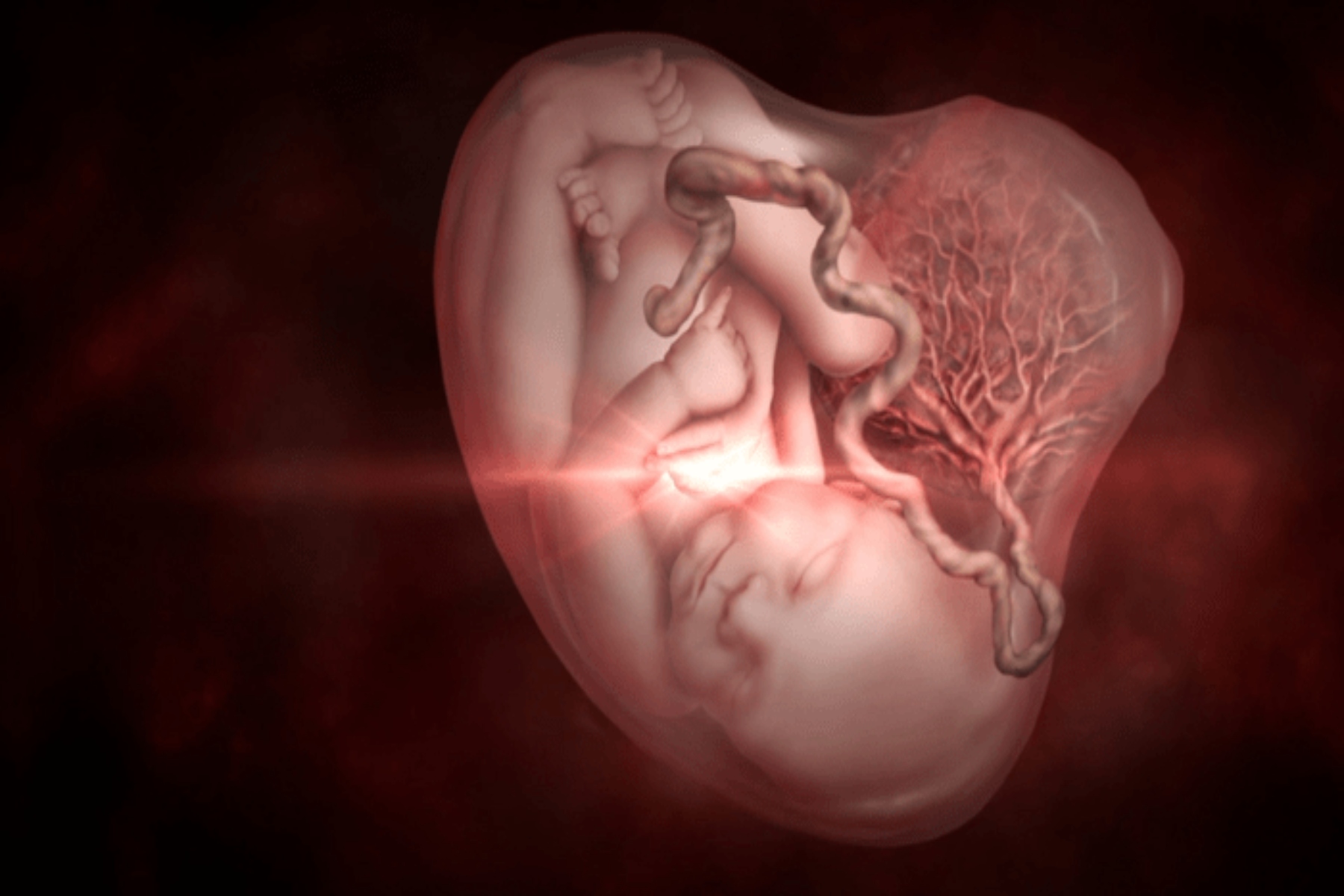 Θνησιγένεια εγκυμοσύνη: Γιατί δεν αποτελεί σφάλμα της μητέρας; [vid]