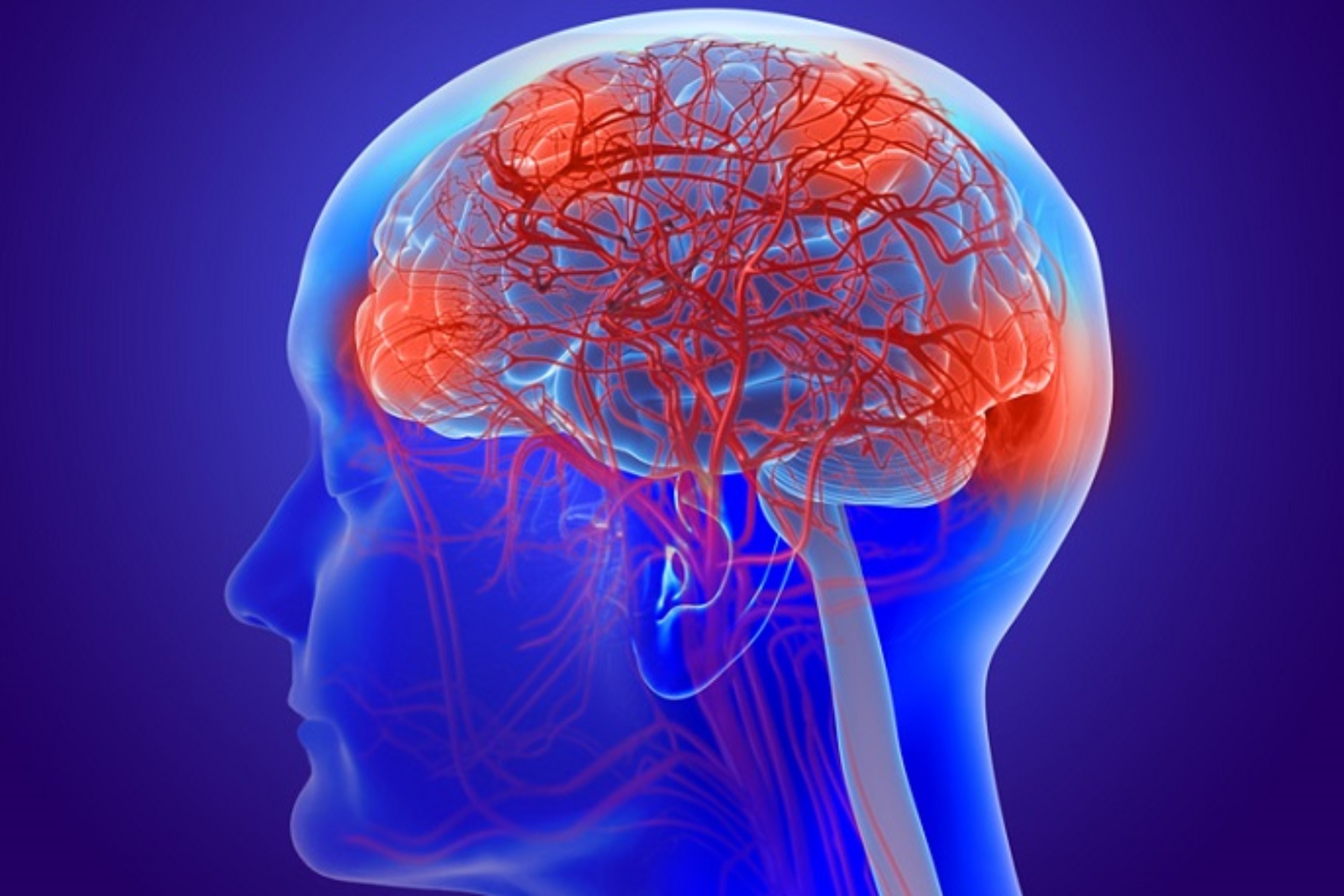 Φλεγμονή εγκέφαλος: Γενετικά καθορισμένα επίπεδα συνδέονται με νευροαναπτυξιακές διαταραχές