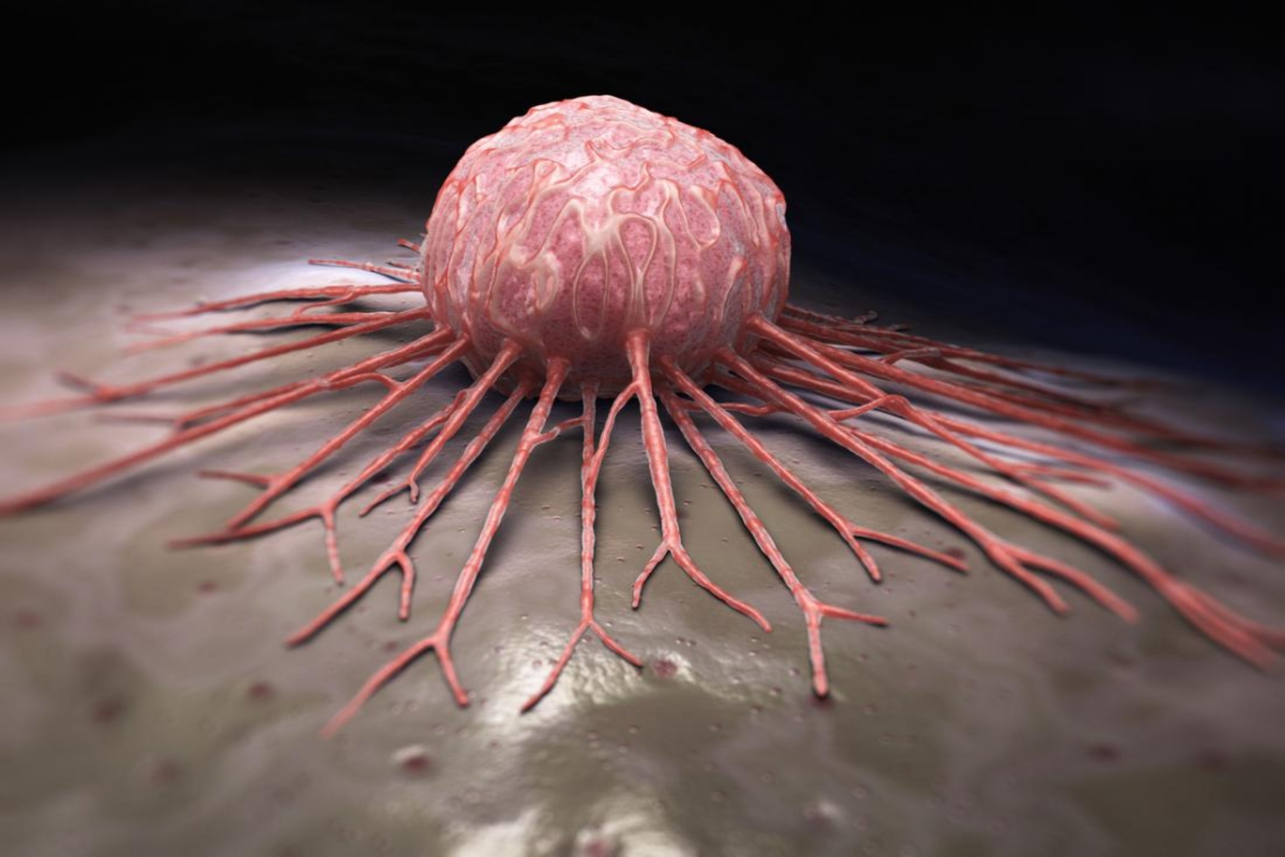 Καρκίνος πάγκρεας: Μόριο που σκοτώνει τα καρκινικά κύτταρα του παγκρέατος