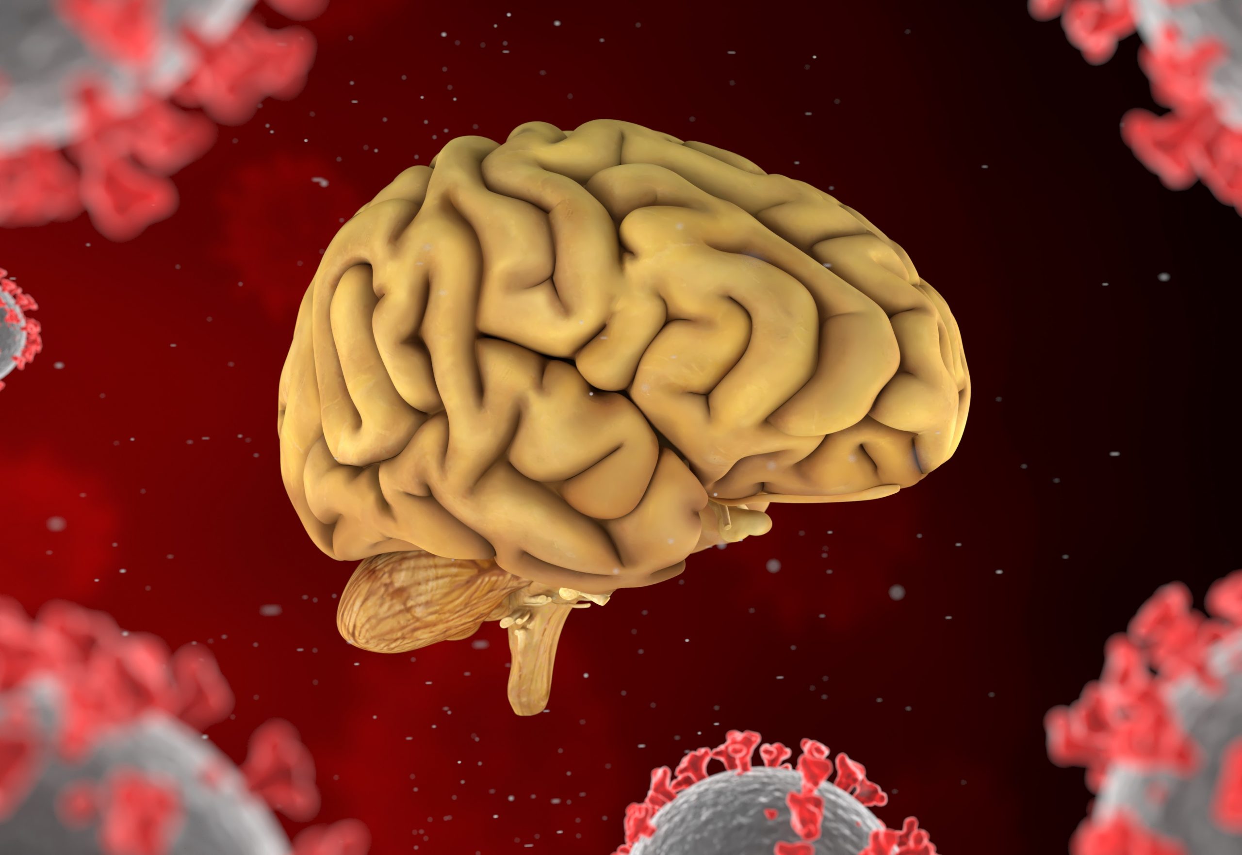 Κορωνοϊός Εγκέφαλος: Ακόμη και ήπια λοίμωξη μπορεί να βλάψει τον εγκέφαλο