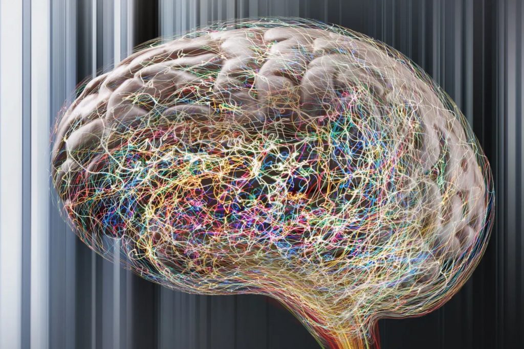 Οι εξαιρετικά δημιουργικοί άνθρωποι έχουν μοναδική εγκεφαλική συνδεσιμότητα