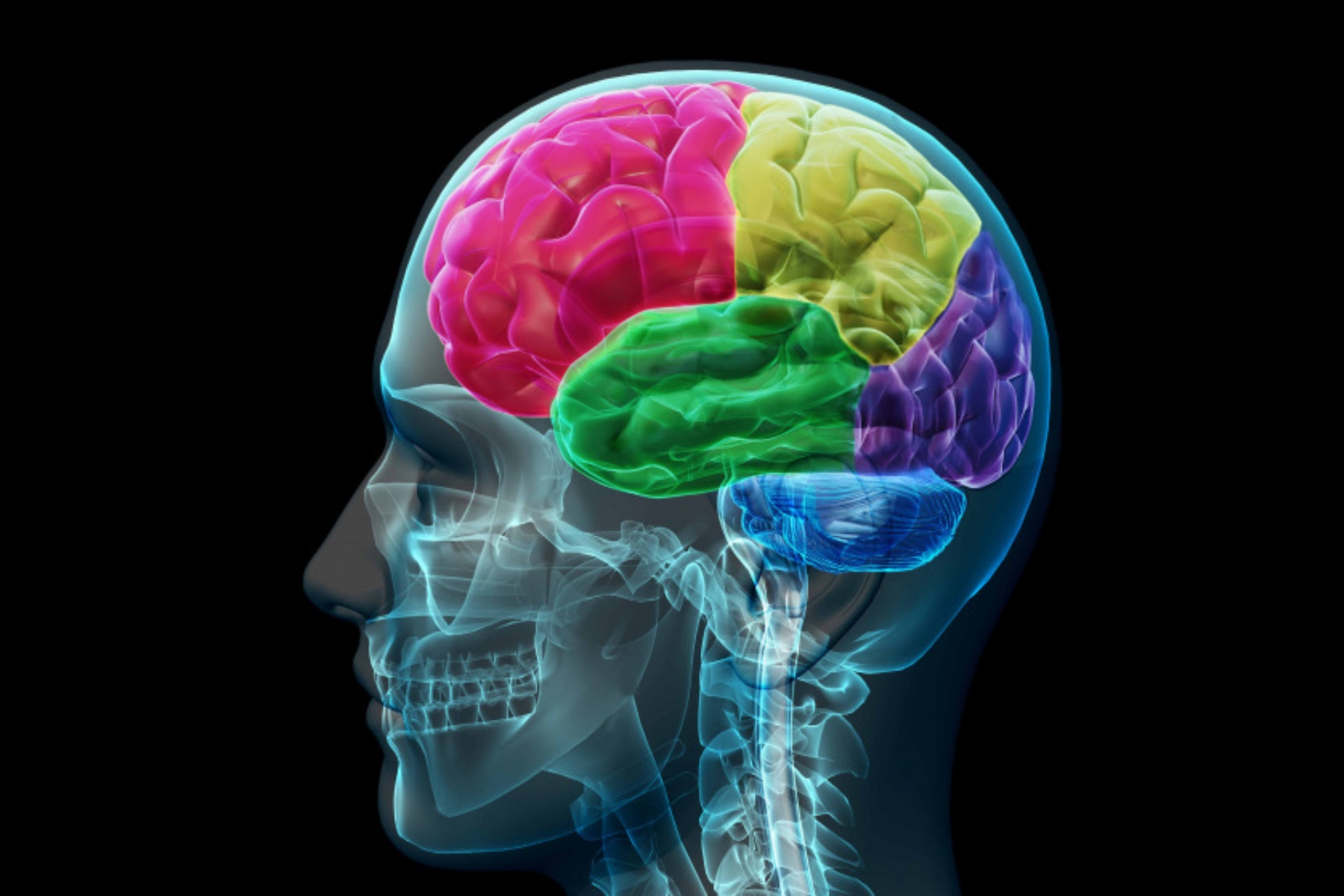 Εγκεφαλική λειτουργία: Πέντε ασθένειες επιτίθενται σε γλωσσικές περιοχές στον εγκέφαλο