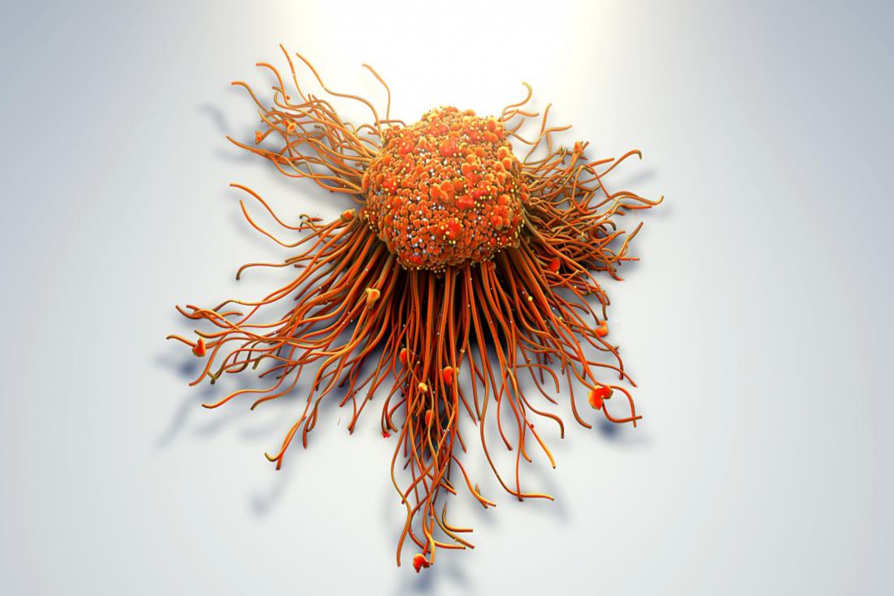 Μετάσταση καρκίνος: Περιορισμός ανάπτυξης των μεταστατικών καρκινικών κυττάρων