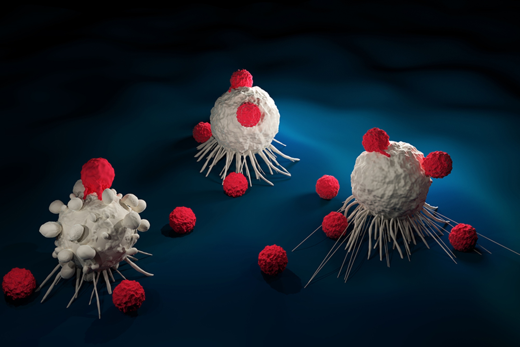Ανοσοθεραπεία CAR-T: Γενετικά τροποιημένα λεμφοκύτταρα απέναντι στον καρκίνο