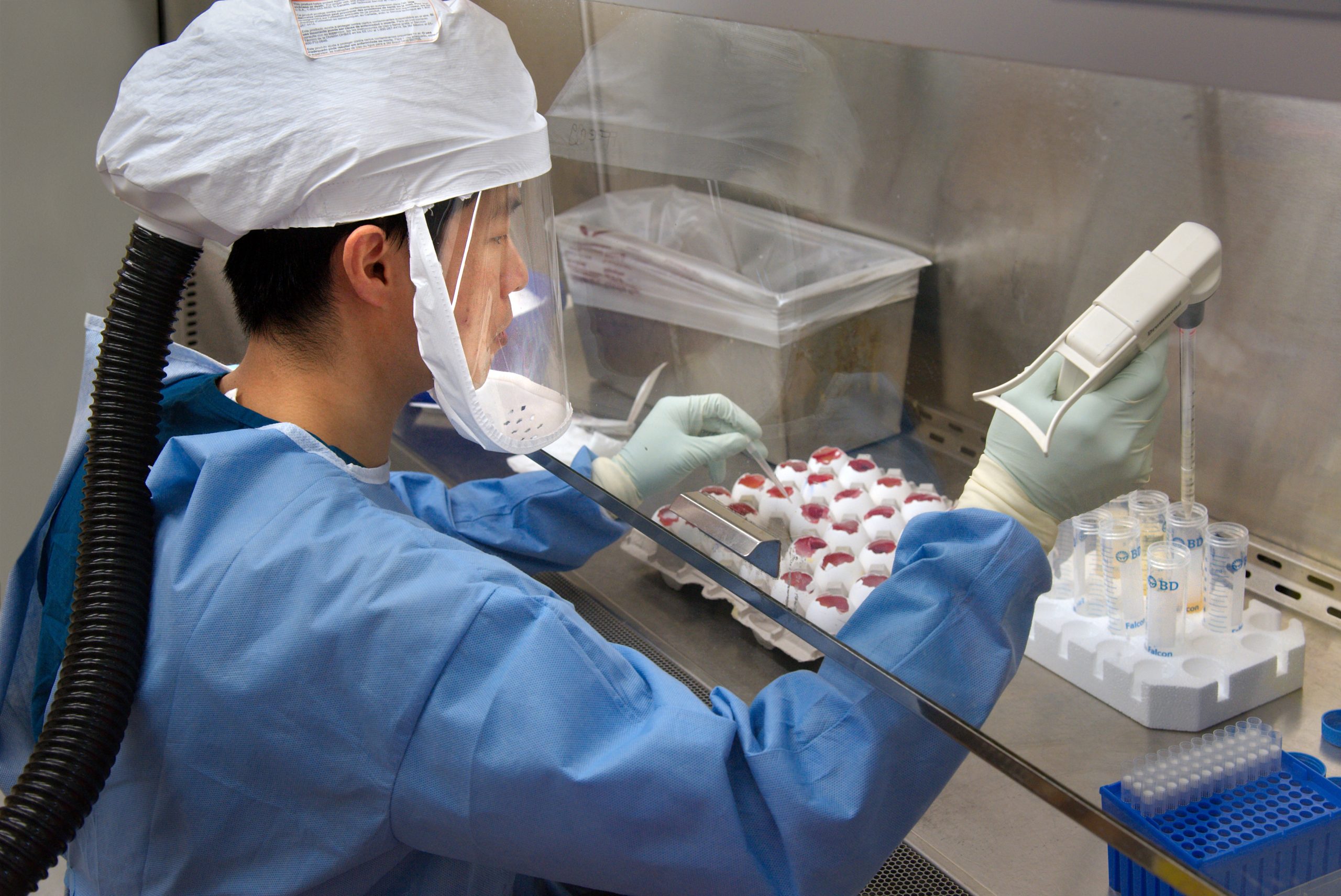 CDC: Επιβεβαιώνει το πρώτο κρούσμα γρίπης των πτηνών στις ΗΠΑ