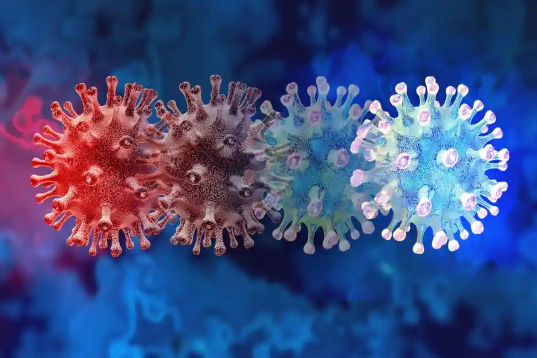 Κορωνοϊός: Πώς μια λοίμωξη COVID-19 διεγείρει αντισώματα κατά του κοινού κρυολογήματος