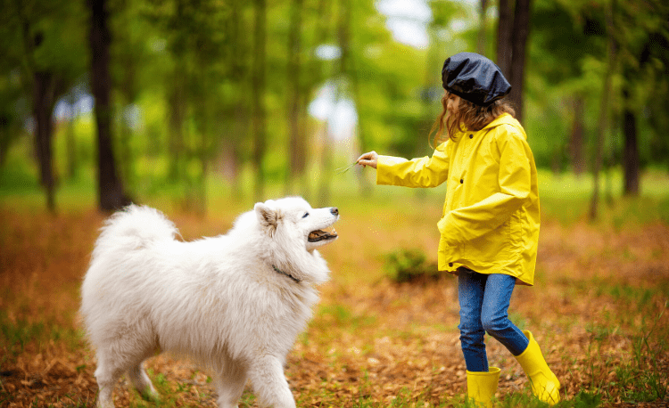 Σκύλος για Παιδιά με Αυτισμό: Ειδικά εκπαιδευμένα 4ποδα “επεκτείνουν τον κόσμο” τους