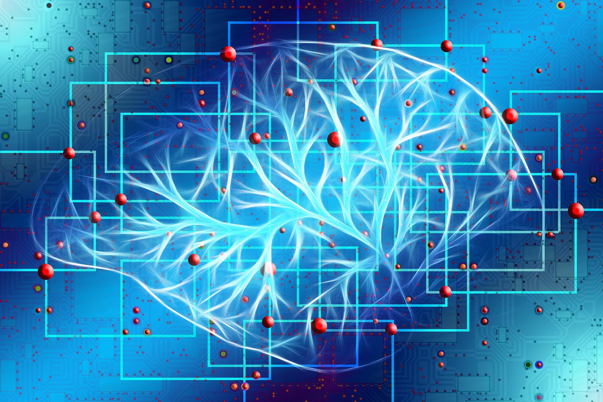 Απεικόνιση εγκεφάλου: Νέα προσέγγιση δίνει πλήρη εικόνα των δικτύων του εγκεφάλου