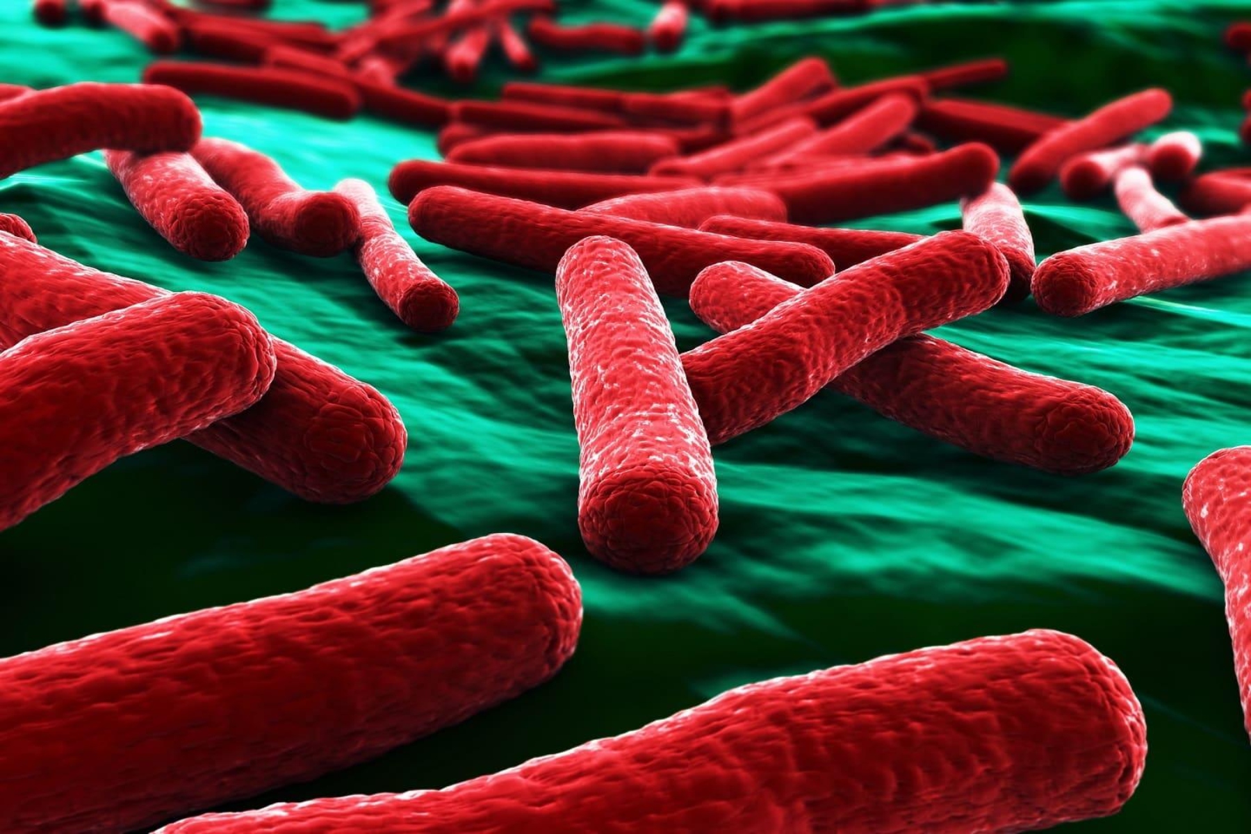 Βακτηριακές λοιμώξεις: Νέα στοιχεία για την καταπολέμηση των θανατηφόρων βακτηρίων