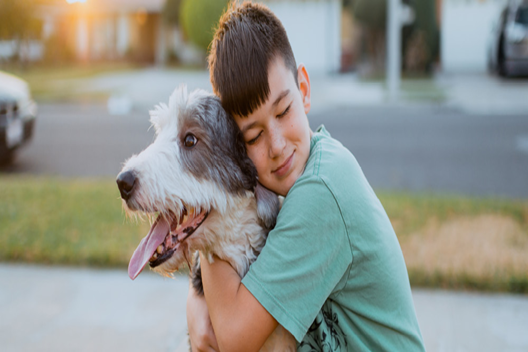 Νόσος Crohn: Η συμβίωση με σκύλους μπορεί να σε προστατεύσει από τη νόσο του Crohn