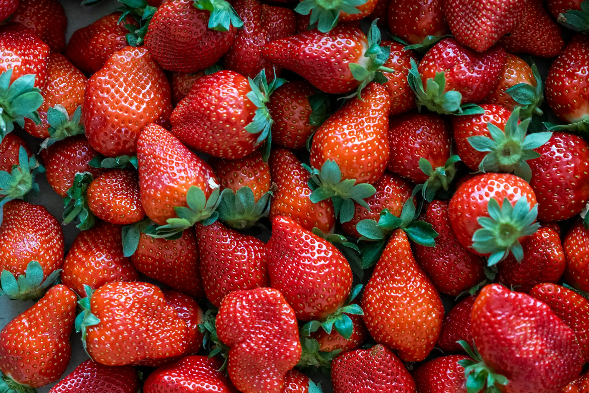 FDA: Η έξαρση ηπατίτιδας Α πιθανώς οφείλεται σε φράουλες