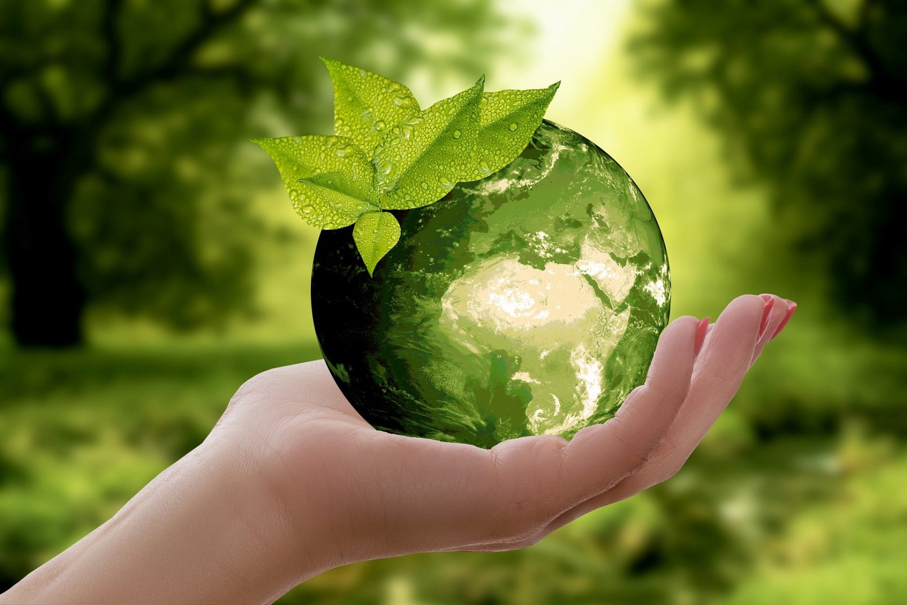 Ανακύκλωση: Γιατί είναι σημαντική η ανακύκλωση για τη ζωή μας;
