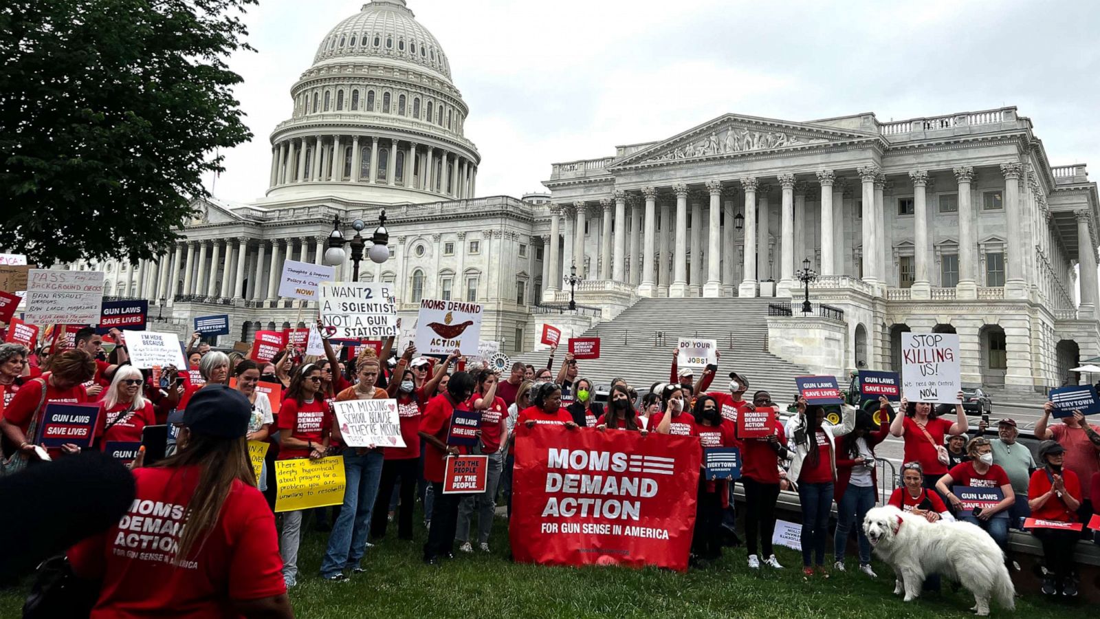 «March For Our Lives»: Σχεδιάζει μαζική διαμαρτυρία για την ασφάλεια των όπλων στις 11 Ιουνίου