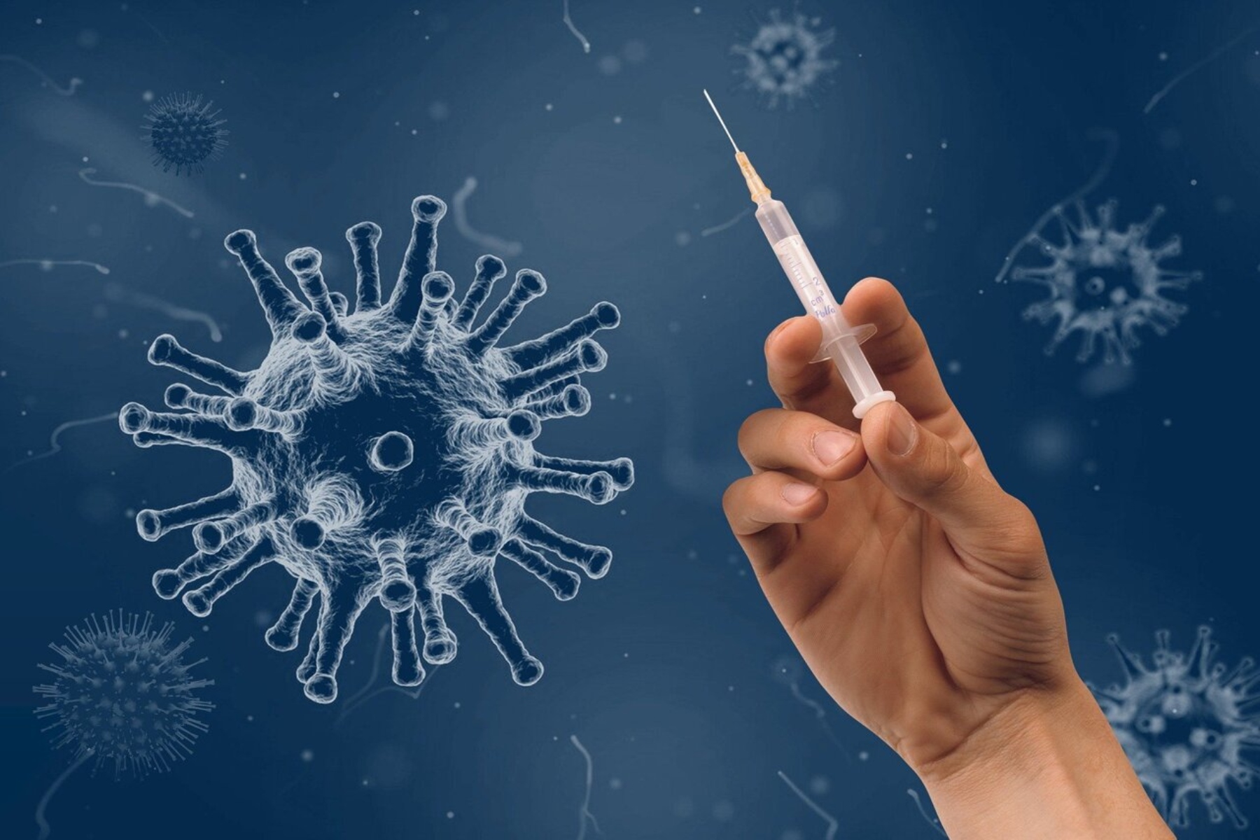 Lloviu ιός: Μια πιθανή νέα πανδημική απειλή απομονώθηκε για πρώτη φορά