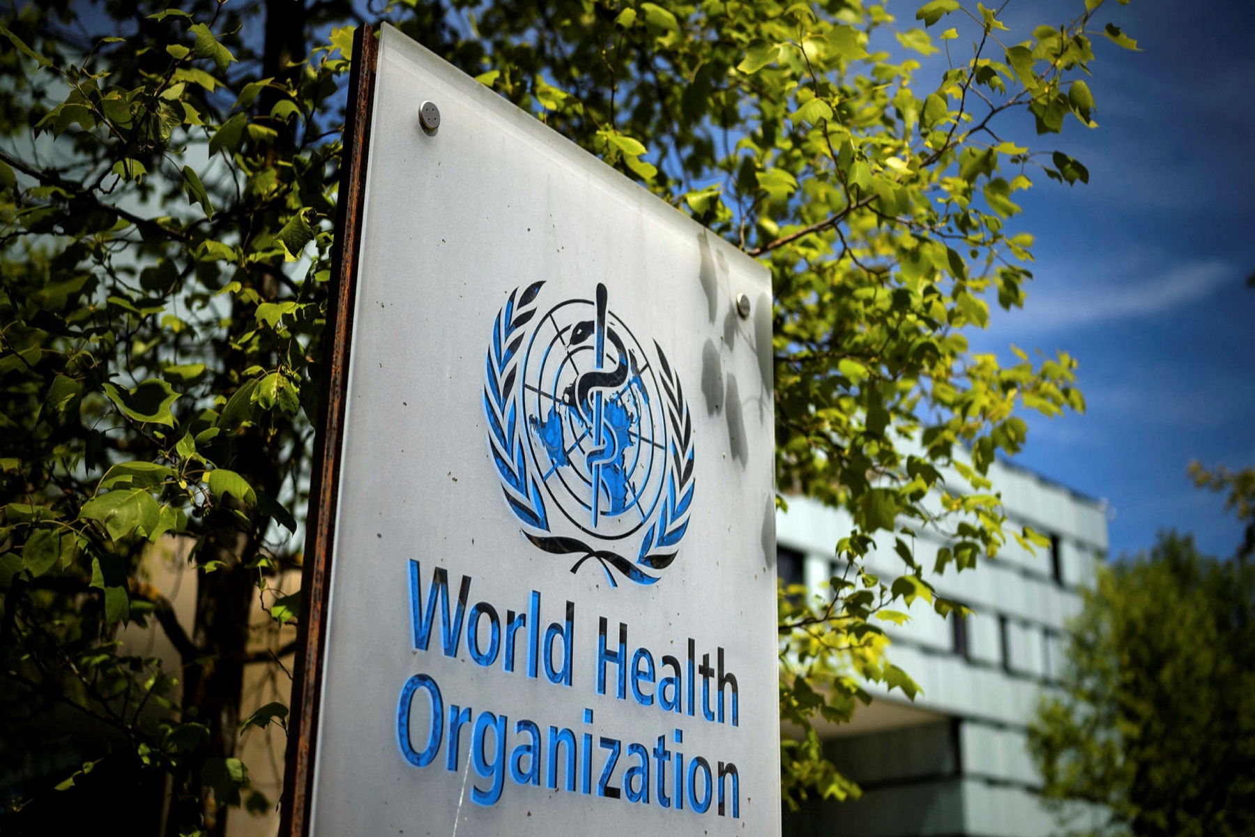 ΠΟΥ: Ποιες επιδημίες κατατάσσει ο Παγκόσμιος Οργανισμός Υγείας ως διεθνείς έκτακτες ανάγκες;