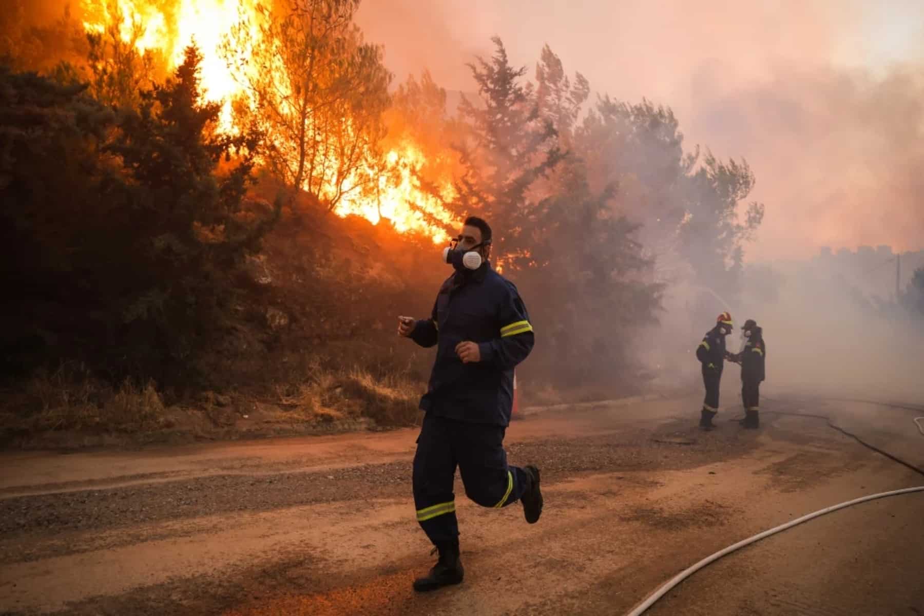 Δάσος Δαδιάς: Δραματικές οι ώρες στον Έβρο με την μεγάλη φωτιά σε εξέλιξη