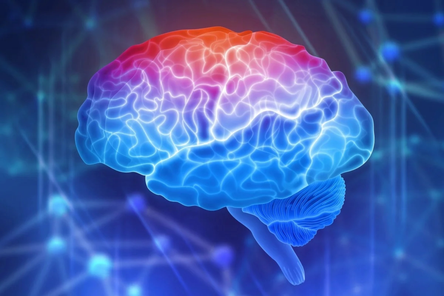 Γνωστική λειτουργία: Αλλαγές στον εγκέφαλο που επιτρέπουν την εκμάθηση λεπτής οπτικής διάκρισης