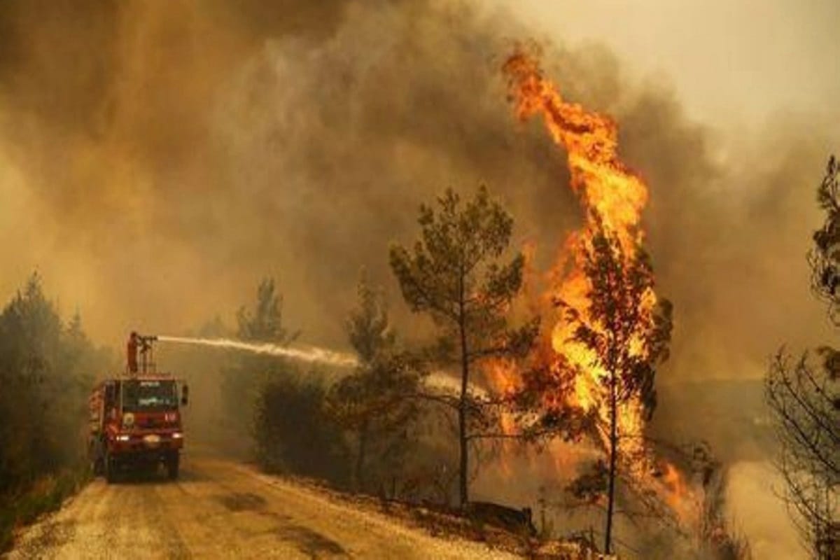 Σύνορα Γερμανίας και Τσεχίας: Οι μαινόμενες πυρκαγιές απειλούν τουριστική περιοχή