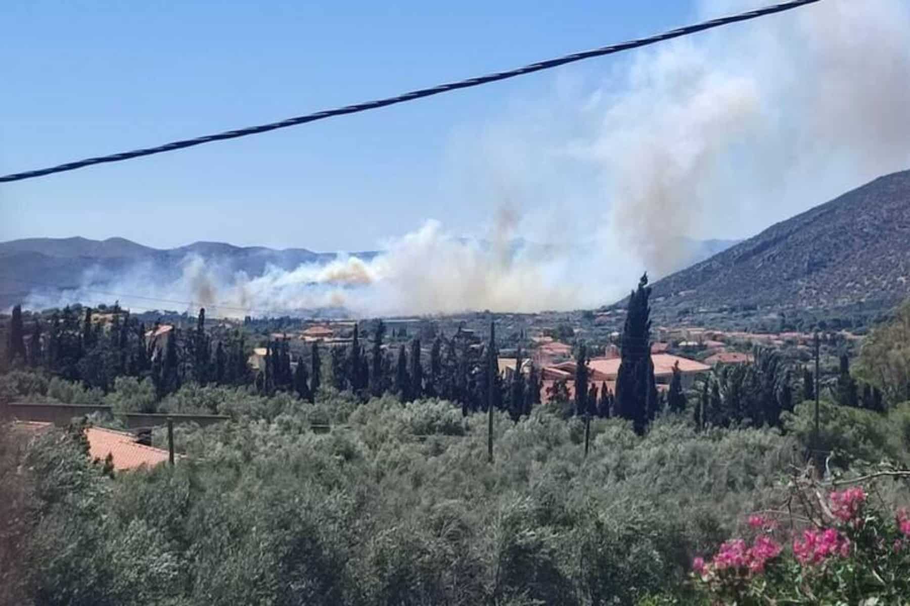 Φωτιά τώρα: Πυρκαγιά στη θέση Φέριζα Σαρωνικού στη Λαυρεωτική [vid]