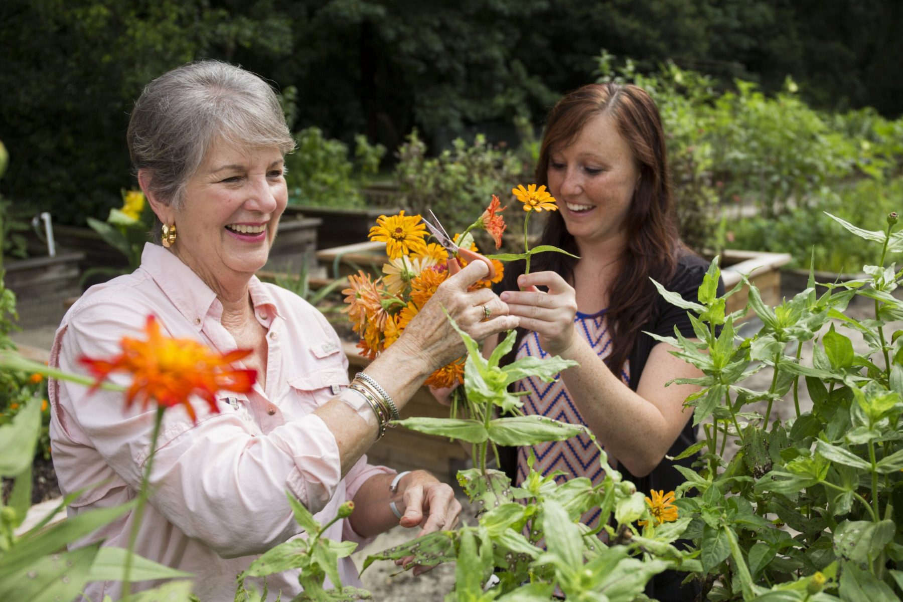 Κήπος οφέλη: Η κηπουρική μπορεί να καλλιεργήσει καλύτερη ψυχική υγεία