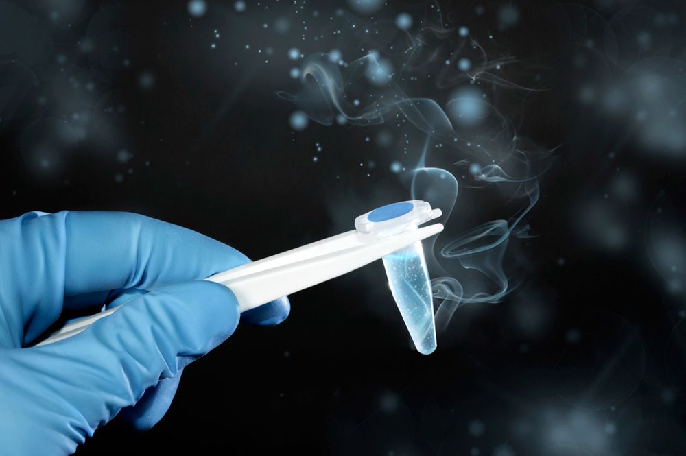 Το κατεψυγμένο σπέρμα εξίσου αποτελεσματικό με το φρέσκο ​​για θεραπείες γονιμότητας