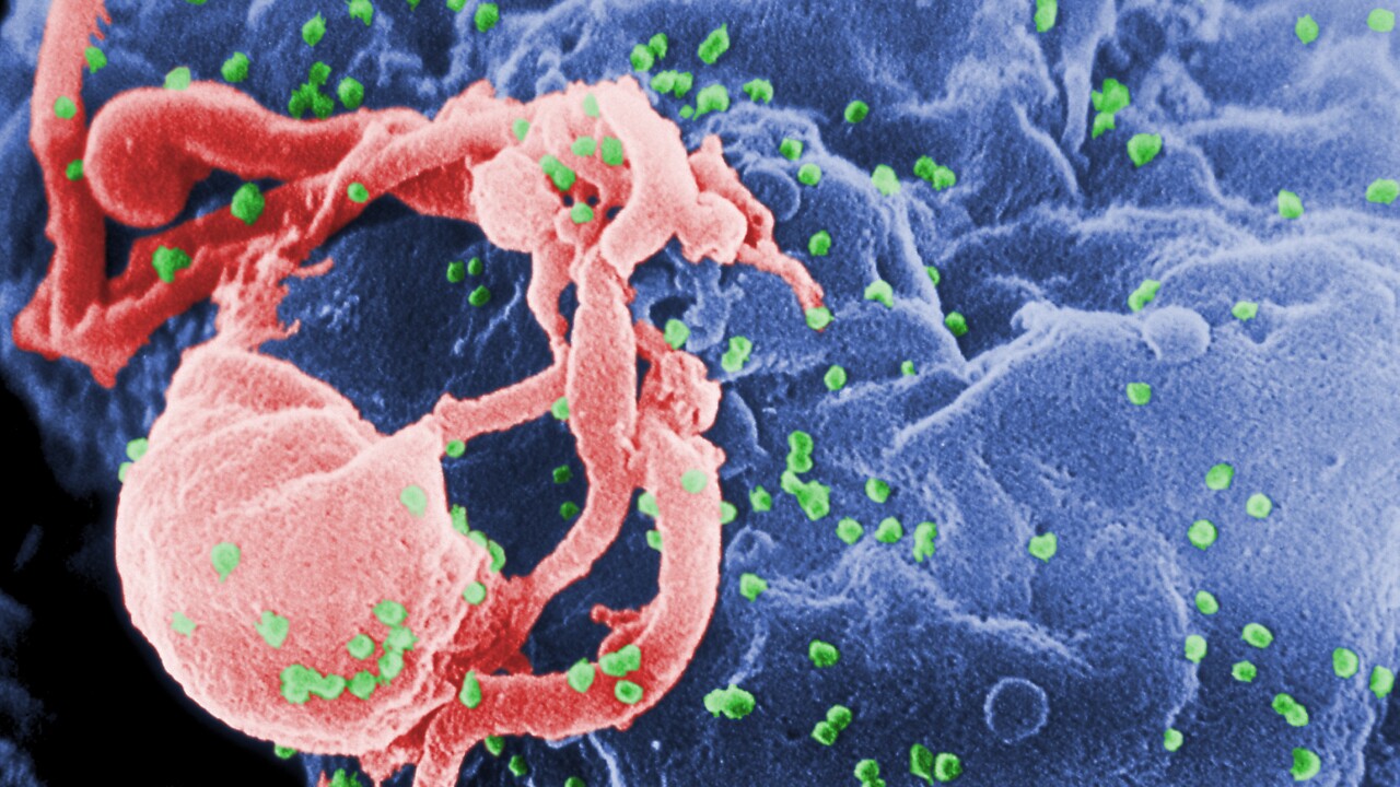 66χρονος ασθενής με HIV: Θεραπεύτηκε μετά από μεταμόσχευση βλαστοκυττάρων για τη λευχαιμία του