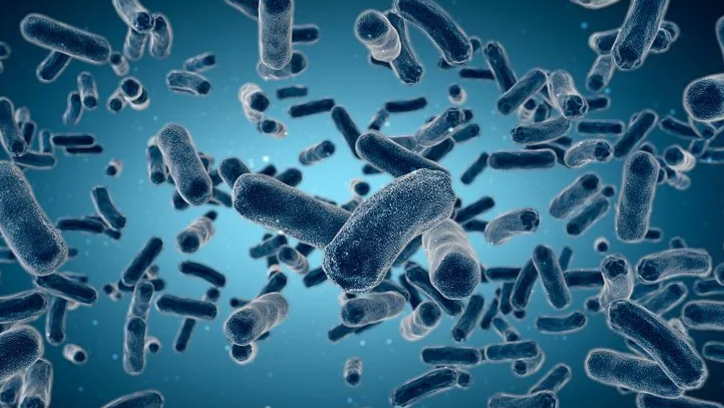 Προειδοποίηση CDC: Εντοπίστηκαν δυνητικά θανατηφόρα βακτήρια στο έδαφος και το νερό των ΗΠΑ