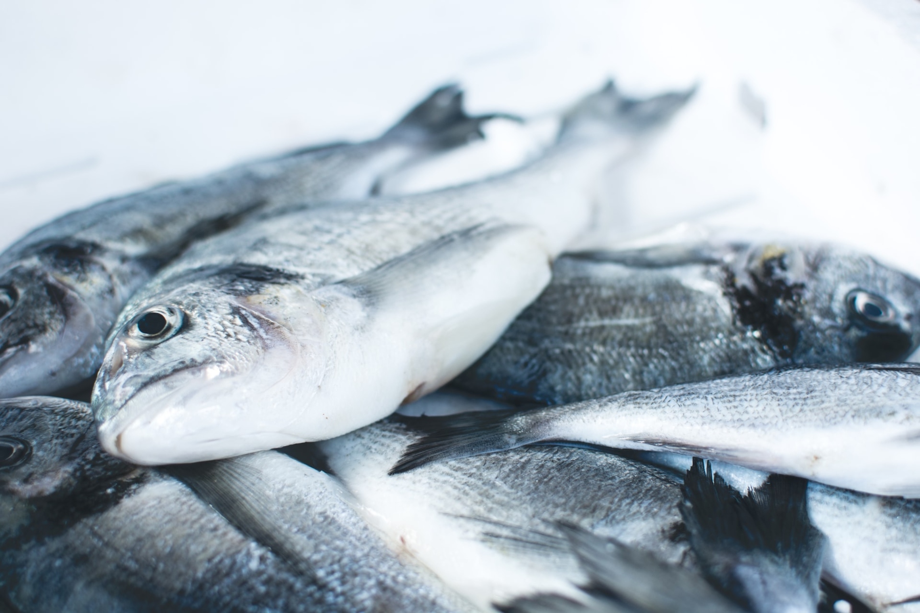 Στιφάδο ψάρι: Δοκιμάστε βραζιλιάνικο στιφάδο ψαριού που μυρίζει θάλασσα