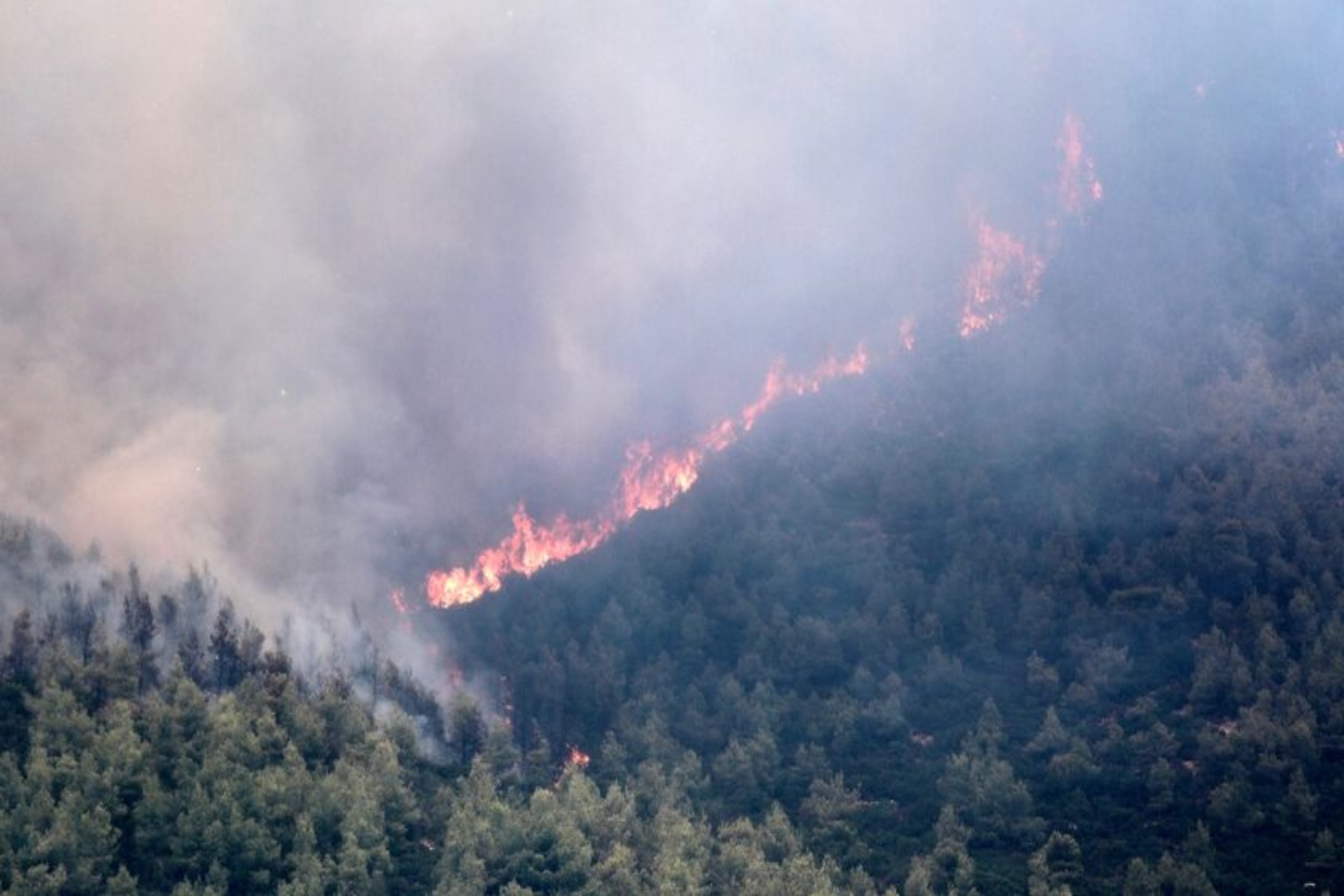 Πυρκαγιά Θάσος: Εκκενώθηκαν τα Κοίνυρα, μεγάλη φωτιά στην Σκάλα