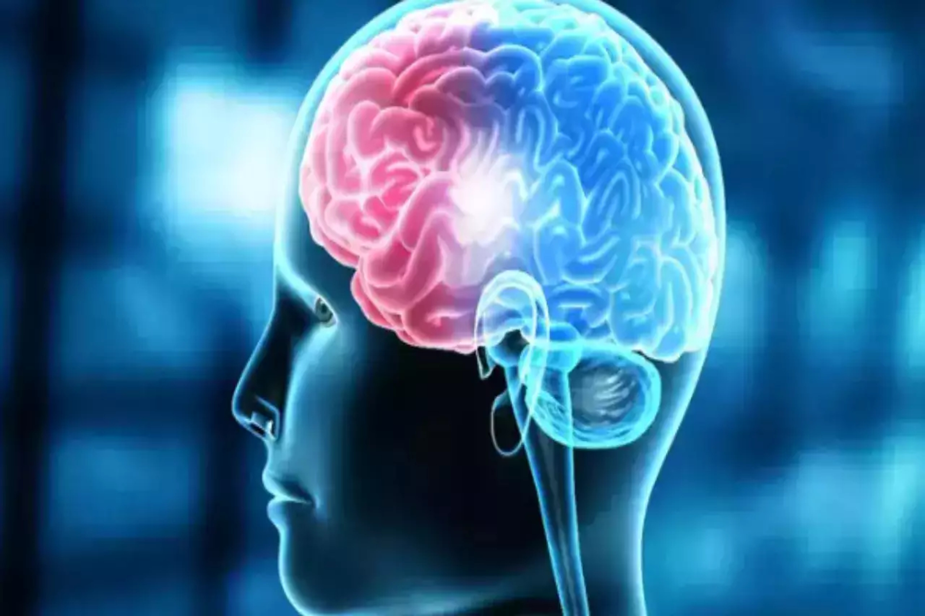 Νευροεπιστήμη: Νέος ρόλος για τον αιματοεγκεφαλικό φραγμό στη λειτουργία και τη βλάβη των νευρώνων