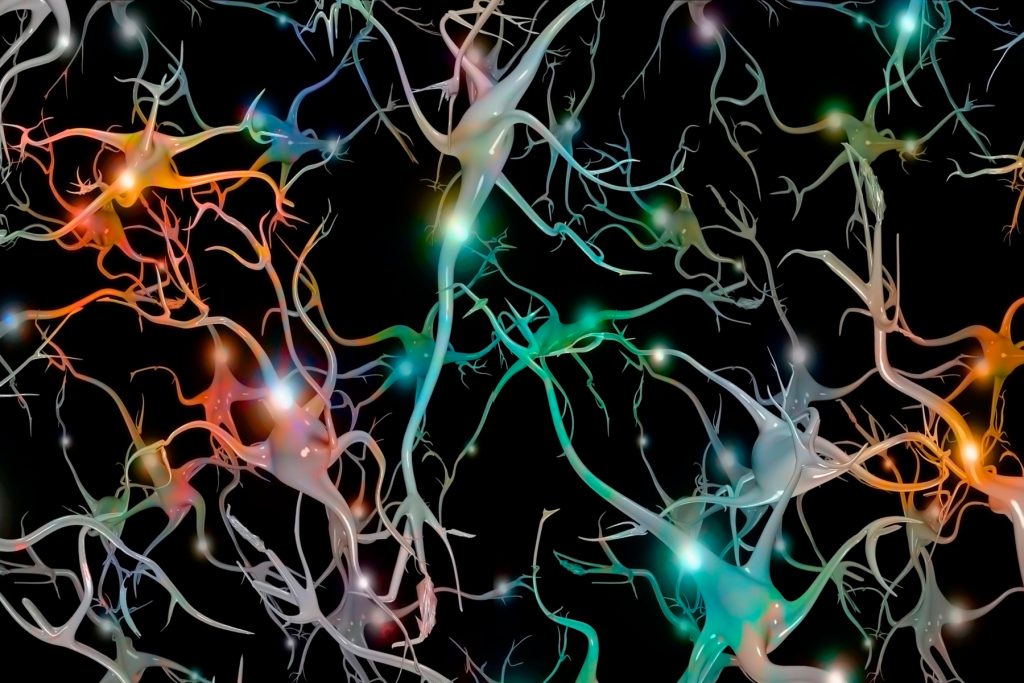 Οι ερευνητές δημιουργούν τα πιο ρεαλιστικά μοντέλα υπολογιστών εγκεφαλικών κυττάρων