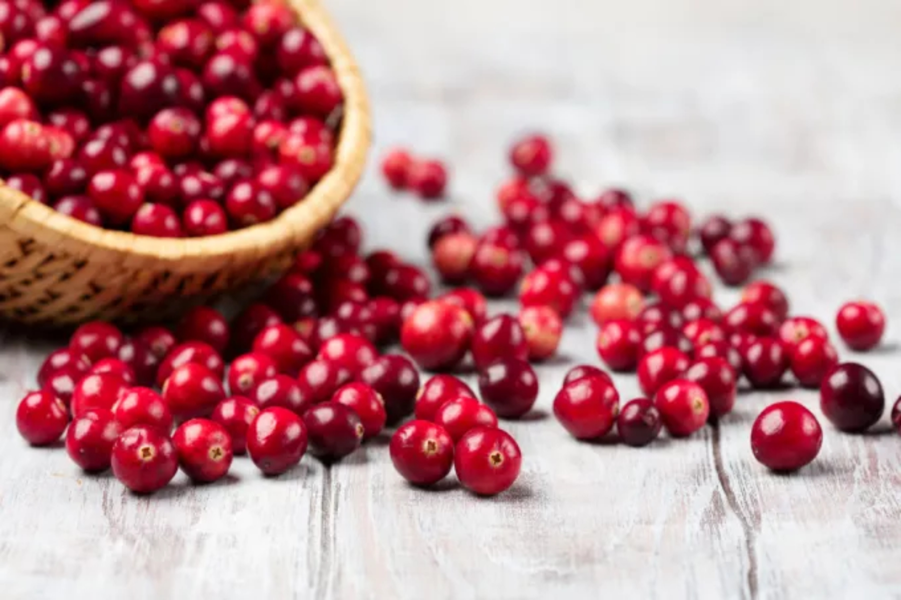 Cranberries: Ποια είναι η διατροφική αξία των Cranberries και πού μπορούμε να τα χρησιμοποιήσουμε;