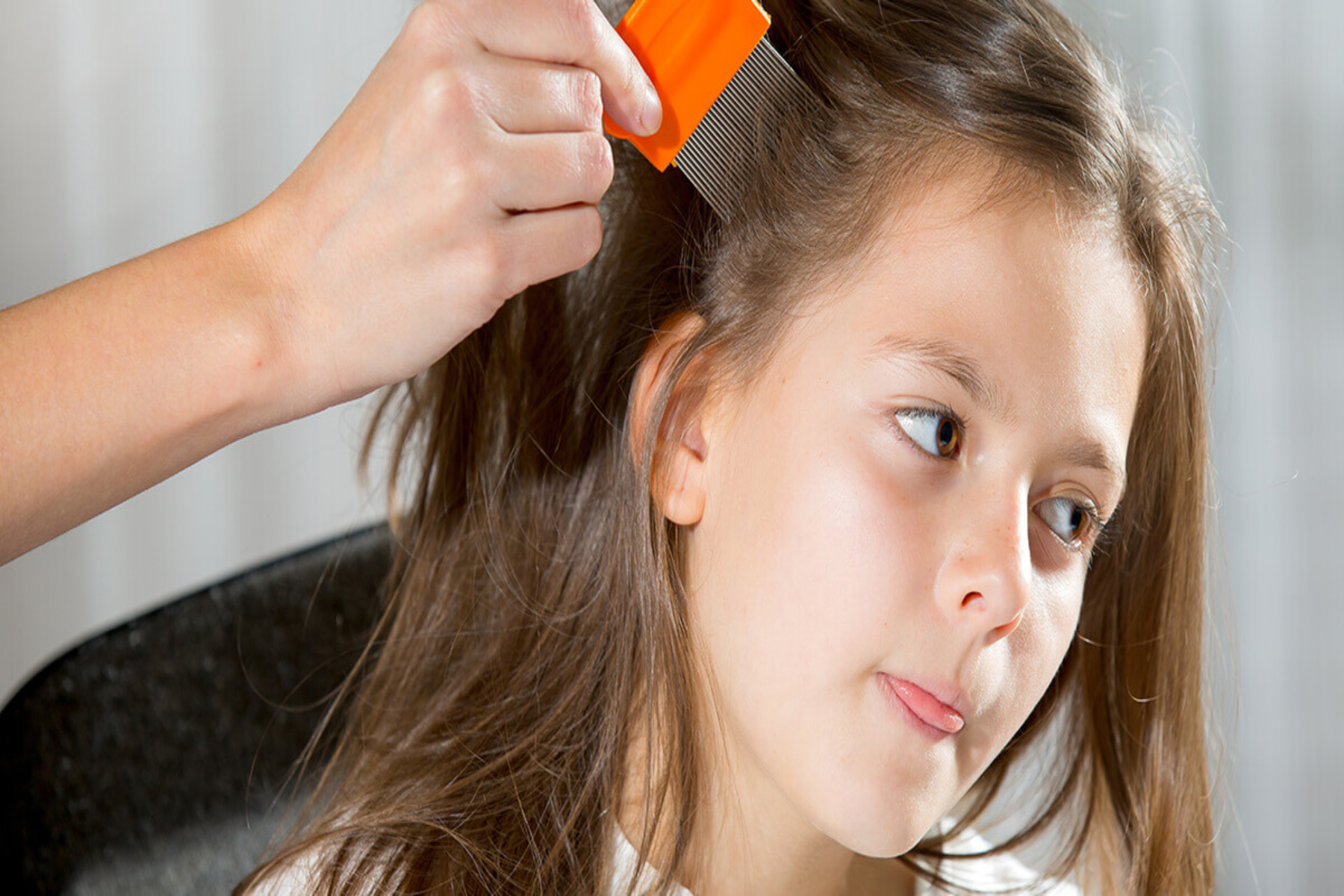 Ψείρες: Οι παιδίατροι προσφέρουν τις πιο πρόσφατες συμβουλές για τον έλεγχο των ψειρών στα παιδιά