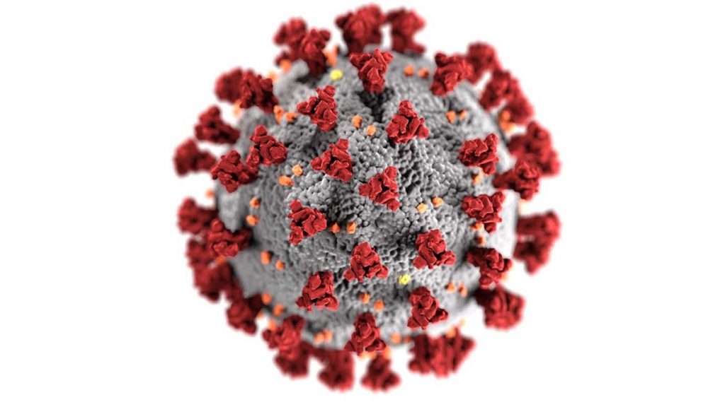  Έρευνα δείχνει ότι όλες οι λοιμώξεις COVID-19 περιλαμβάνουν ένα ευρύ μείγμα παραλλαγών του ιού SARS-CoV-2