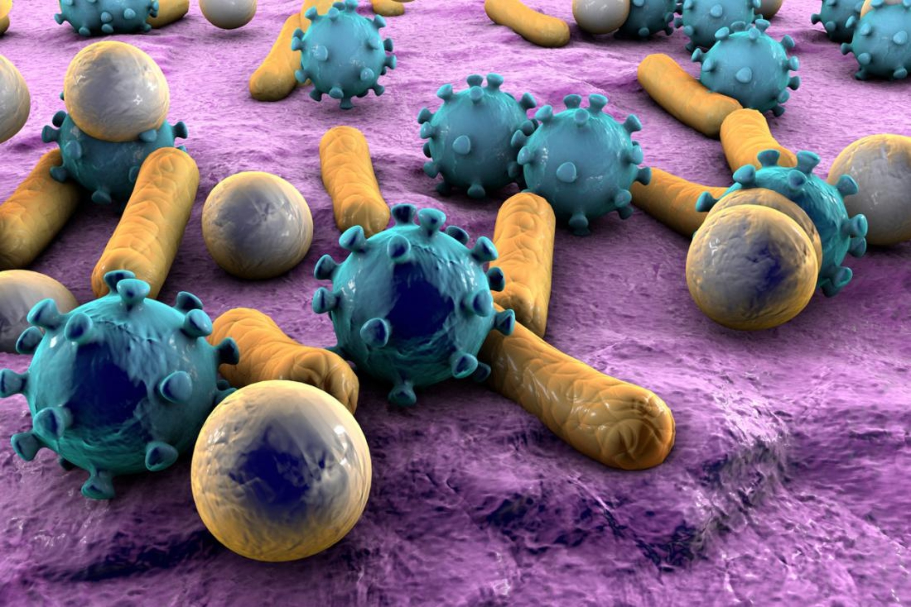 Οικιακά μικρόβια: Πόσο κακό κάνουν στην υγεία μας;
