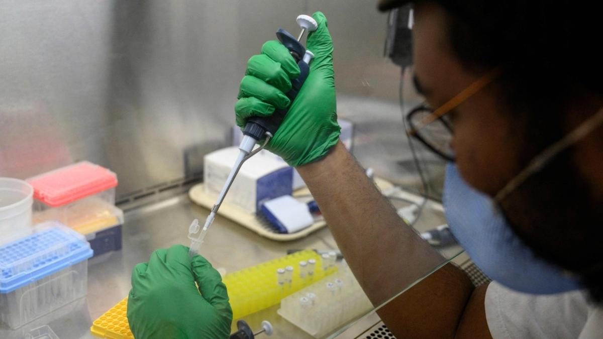 Νέα Υόρκη: Περισσότερη πολιομυελίτιδα βρέθηκε στα λύματα της πόλης, λένε οι αξιωματούχοι υγείας