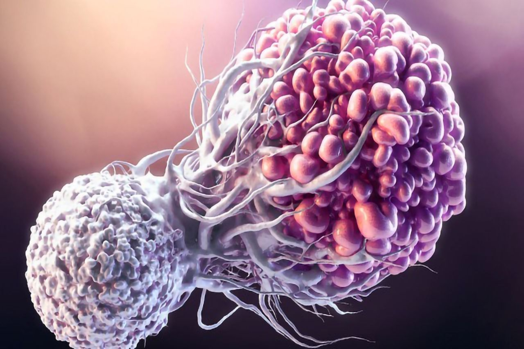 Επιγενετική: Βρισκόμαστε σε μια νέα εποχή έρευνας για τον καρκίνο;