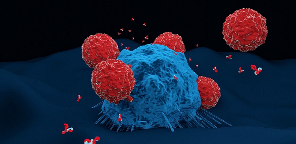 Καρκίνος του ήπατος: Πώς παρεκκλίνουν τα ηπατικά κύτταρα