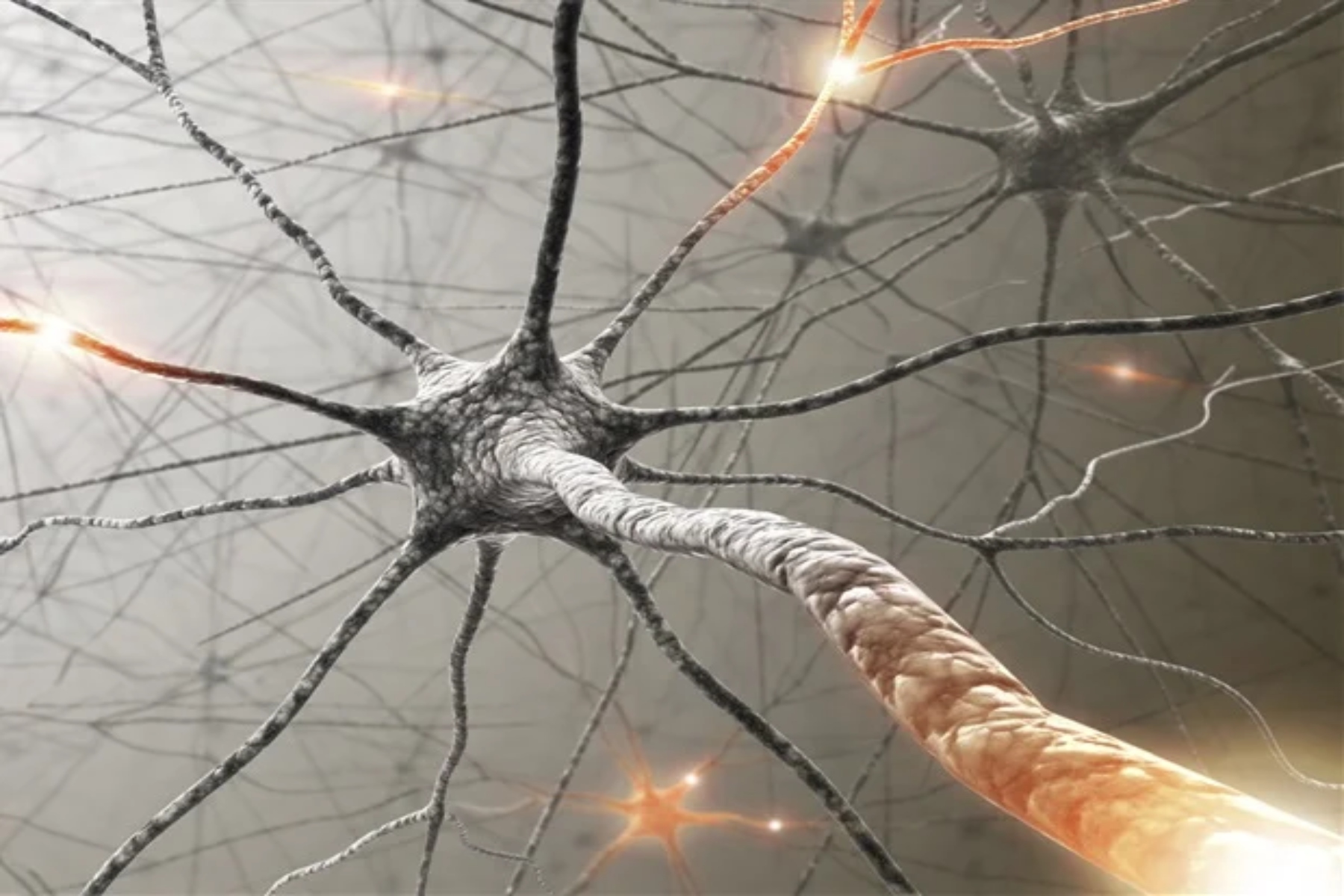 MicroRNA: Παίζουν βασικό ρόλο στην ανάπτυξη πολύπλοκων εγκεφάλων