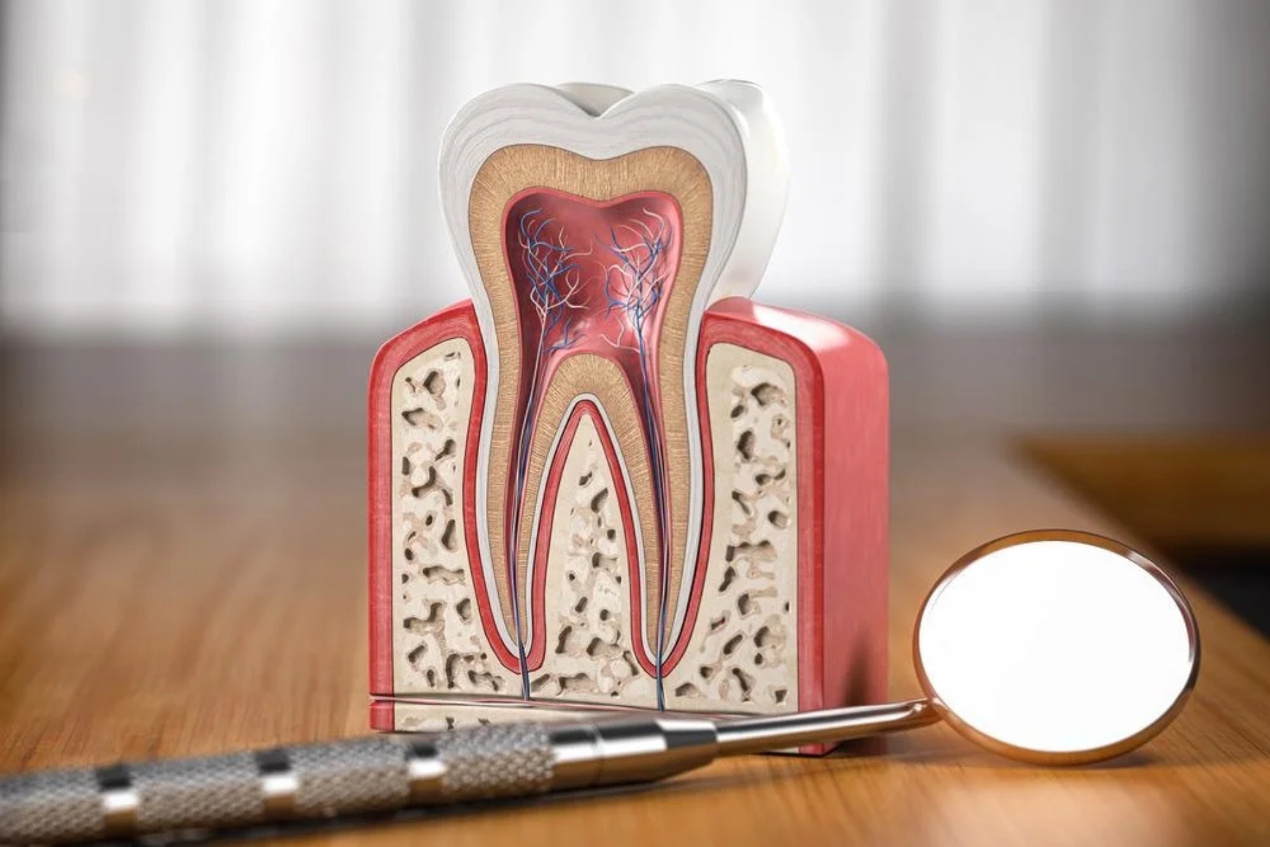 Δόντια: Η ποικιλία στη σύνθεση του σμάλτου προβλέπει την υγεία των δοντιών