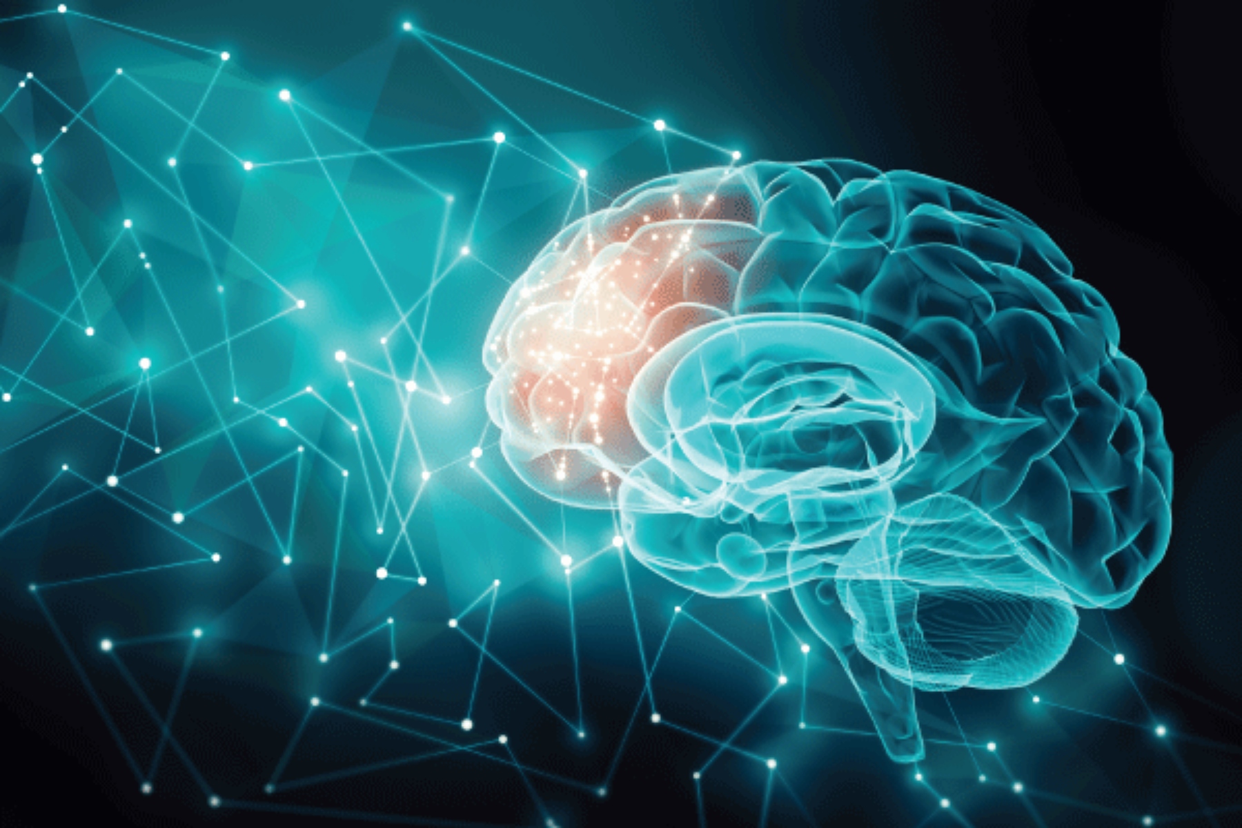 Εγκέφαλος: Νέες ανακαλύψεις για τον αισθητηριακό φλοιό και τους νευρώνες