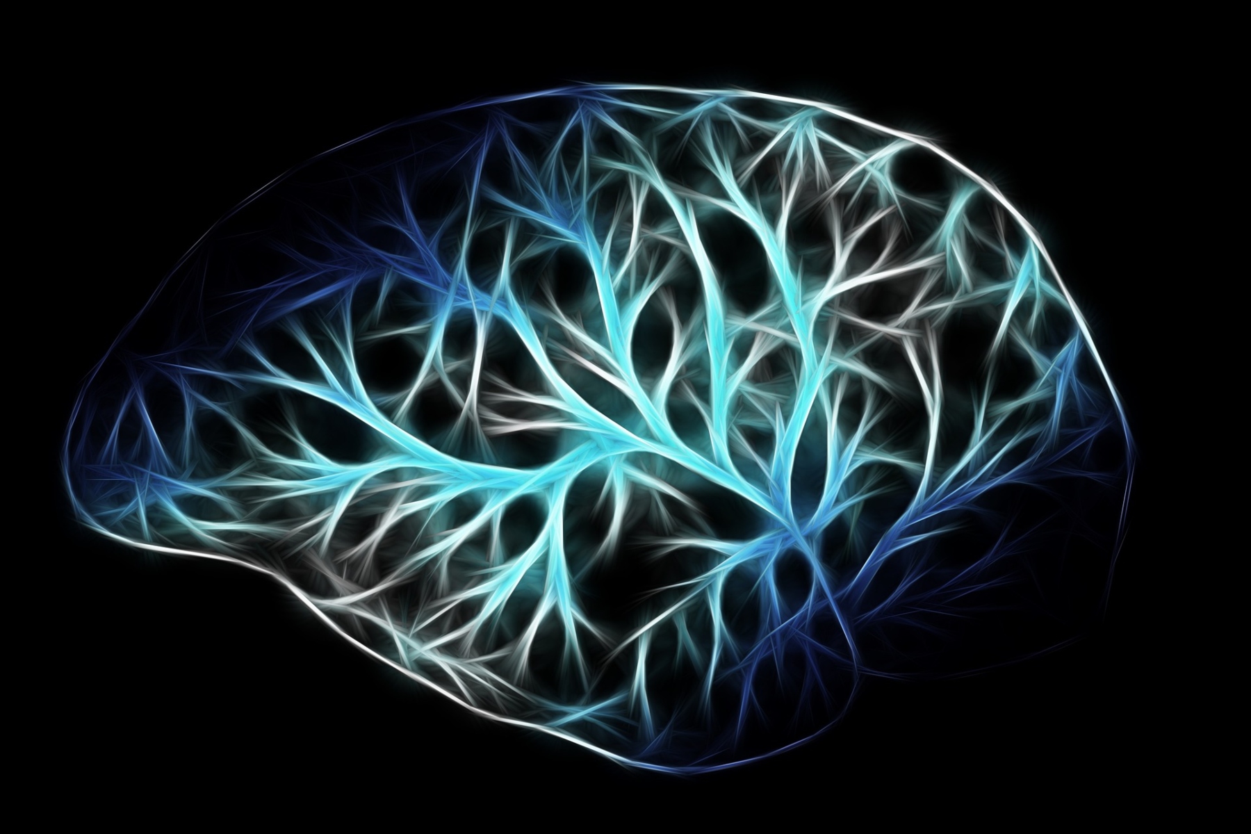 Κυτταρική αναγέννηση: Νευρική οδός προάγει την αναγέννηση μετά από τραυματικές κακώσεις